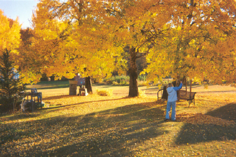 october42003.jpg